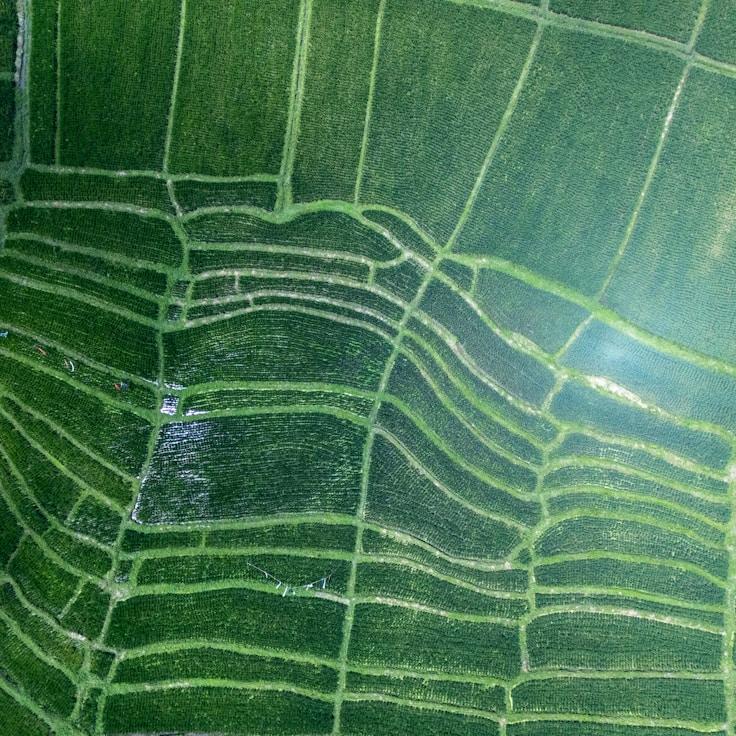 Outdoor terrace seating suitable for families in New York